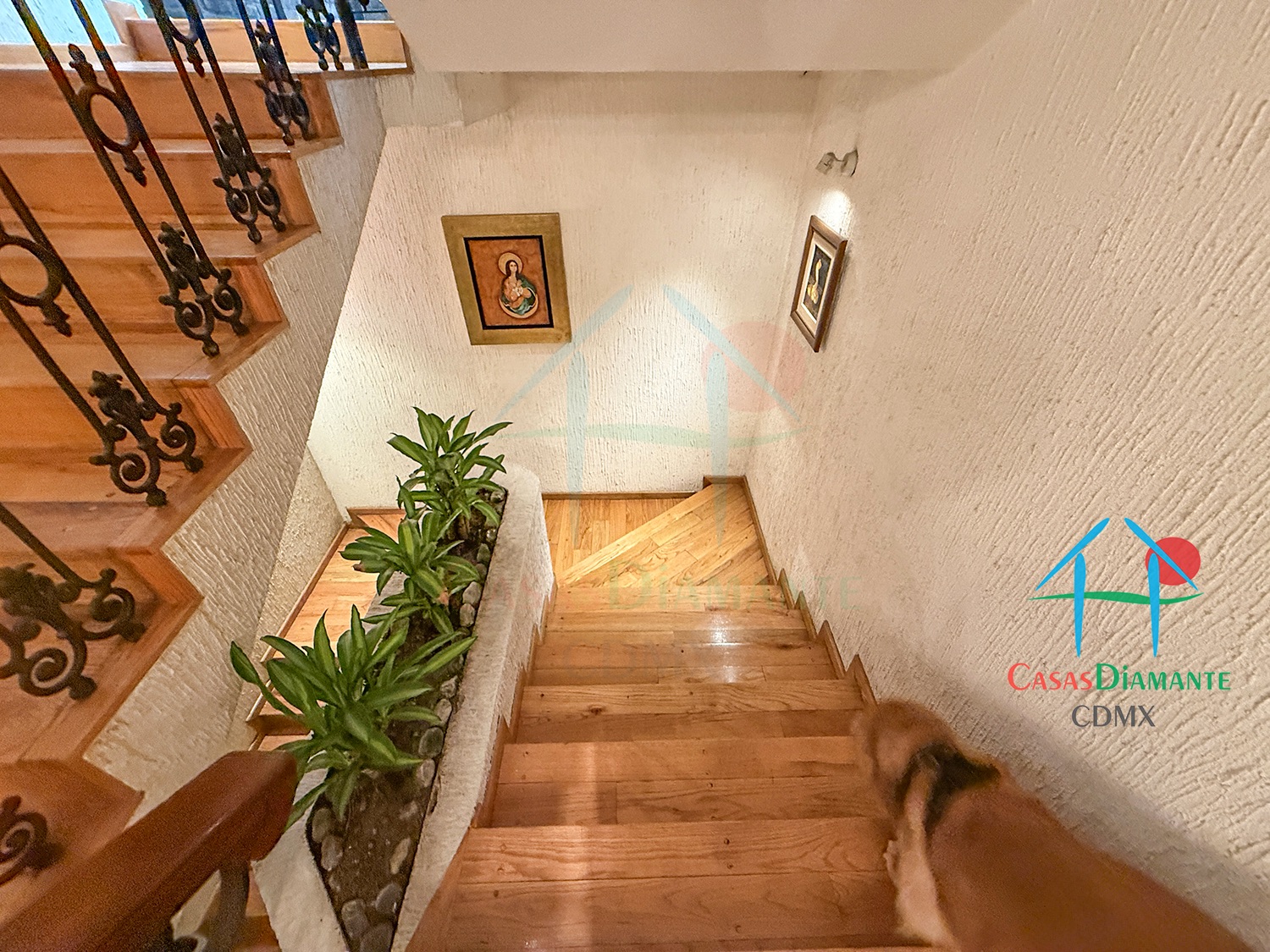 Interlomas Casa Rubén AB - Salón de usos múltiples 1